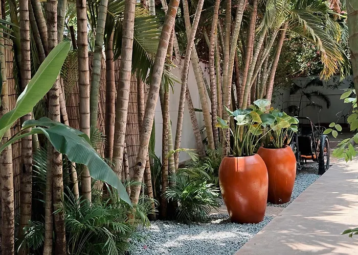 Hotel Maison 557