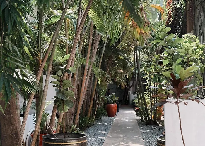 Maison 557 Hotel Siem Reap