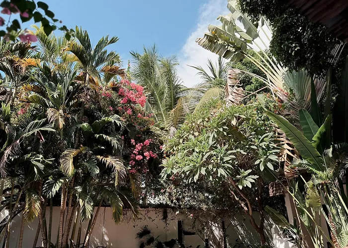 Maison 557 Hotel