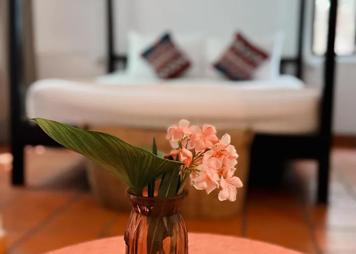Hotel Maison 557 Siem Reap