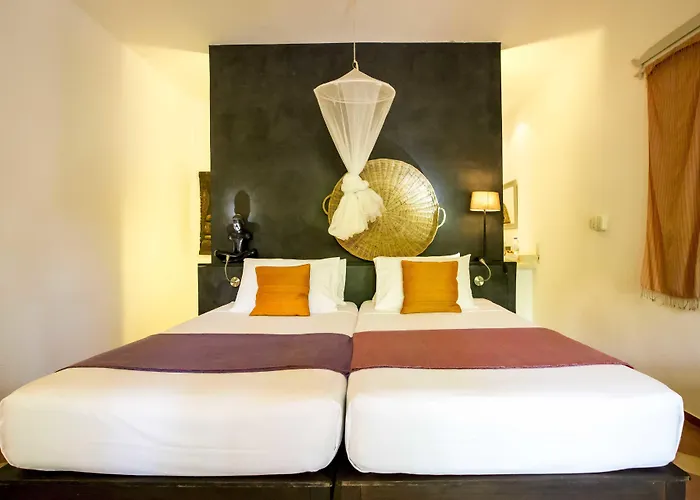 Maison 557 Siem Reap