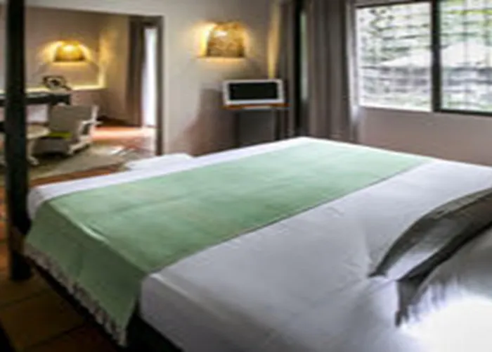 Maison 557 Hotel Siem Reap