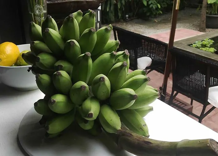 Maison 557 Siem Reap
