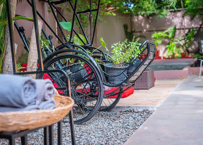 Maison 557 Hotel
