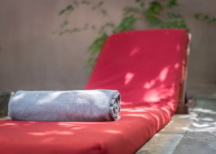 Maison 557 Hotel Siem Reap