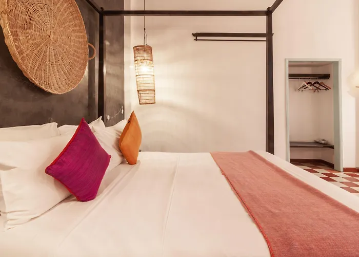 Maison 557 Siem Reap