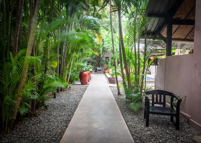 Maison 557 Siem Reap