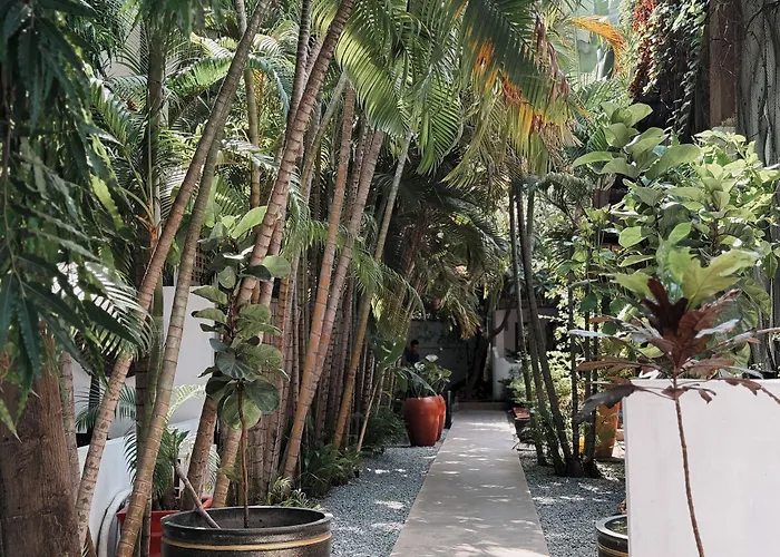 Maison 557 Отель 3*